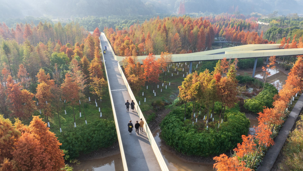 Ekologiczny Korytarz Rzeki Xinjiang | Autor projektu: Turenscape | ©Turenscape