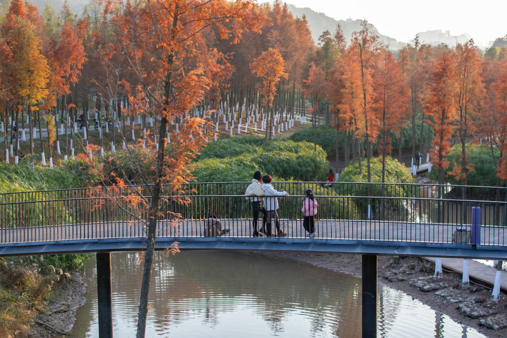Ekologiczny Korytarz Rzeki Xinjiang | Autor projektu: Turenscape | ©Turenscape