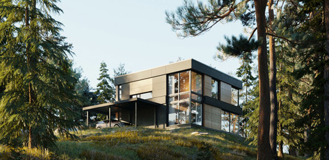 Dom jednorodzinny DANWOOD z nagrodą If World Design Awards 2020