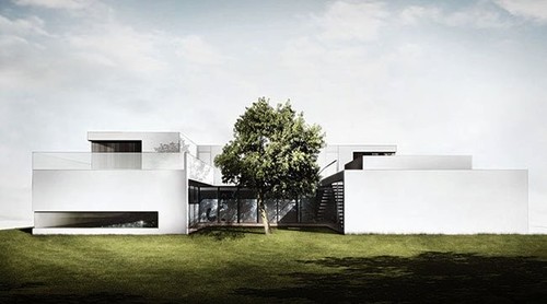 One Tree House, proj. BXBstudio