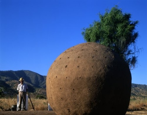 Dom Carbonero | Zdjęcie: Smiljan Radić