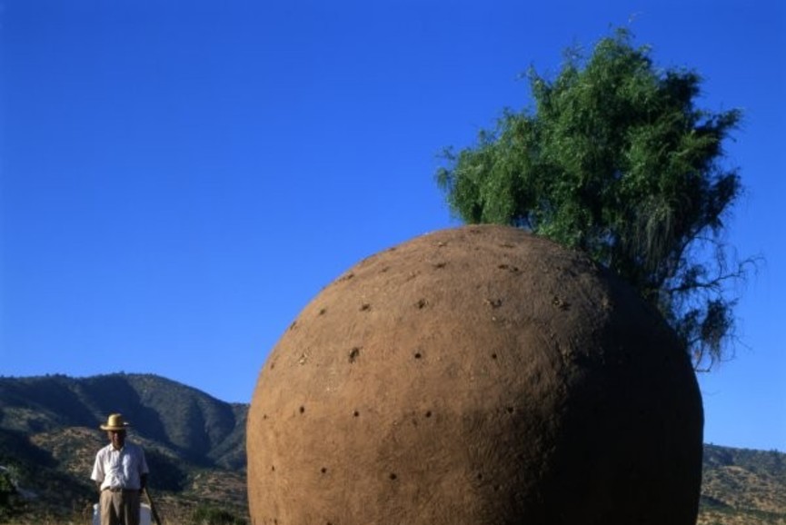 Dom Carbonero | Zdjęcie: Smiljan Radić