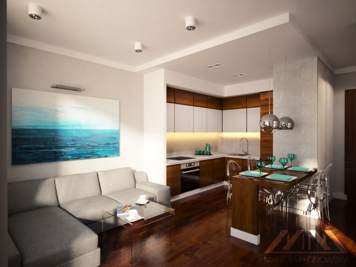 Pokój dzienny z aneksem kuchennym
