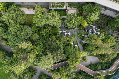 zielone miasta, architektura zrównoważona