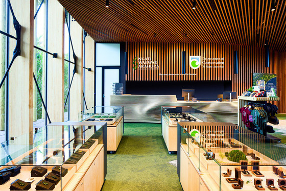 fot.: Jason Mann Photography 