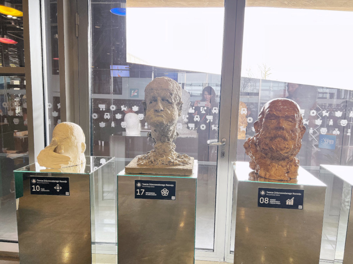 Sztuka w służbie klimatu – współpraca Polskiego Kongresu Klimatycznego i Akademii Sztuk Pięknych | EFIZ