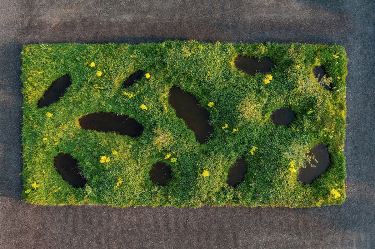 Michael Hyttel Thorø, „Blizny konfliktu”, 2025 r. Autor zdjęcia: Jean-Christophe Lemay