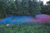 Claude Cormier + Associés, "Blue Stick Garden", 2000 | fot.: Louise Tanguay 